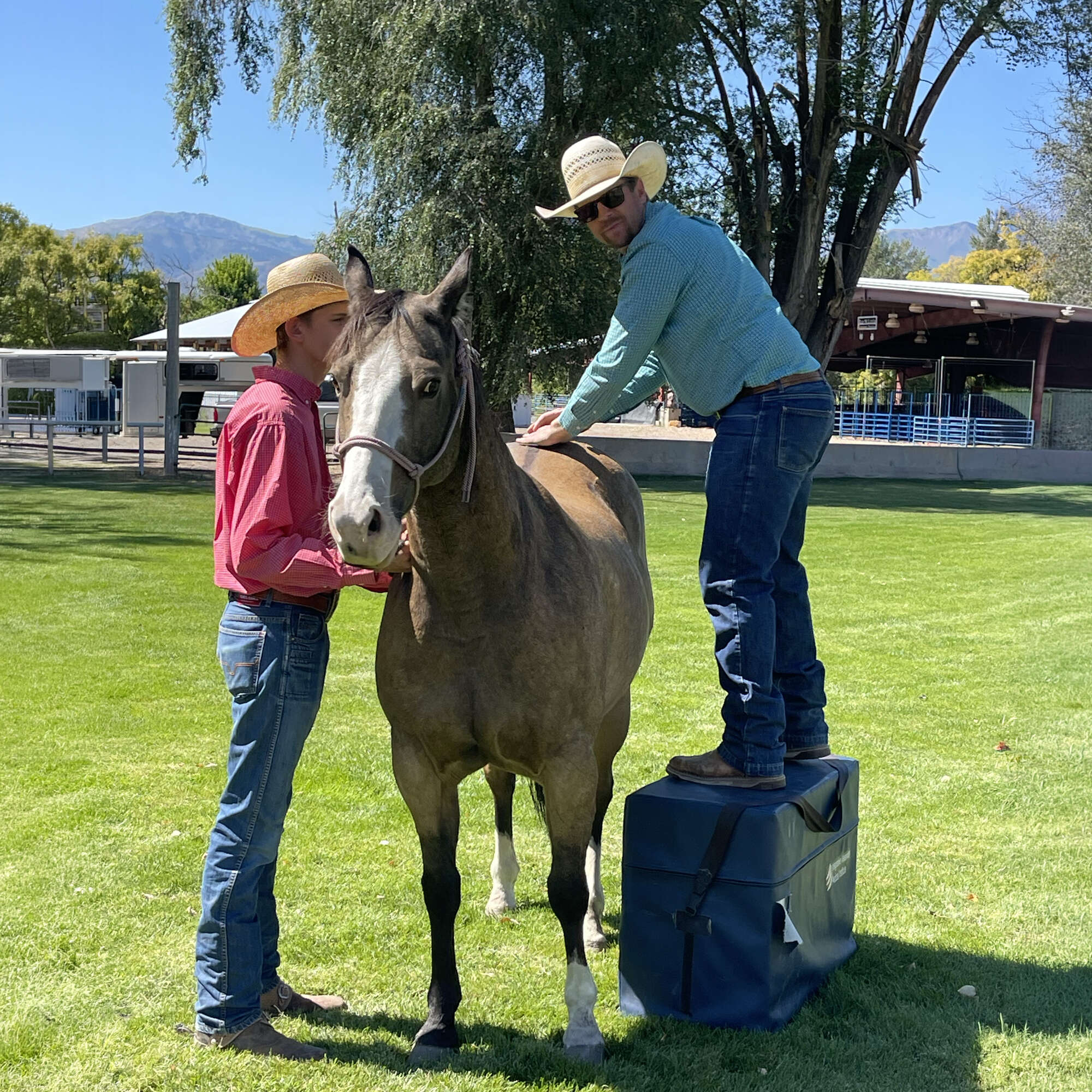 BenEquineChiro BenEquineChiro