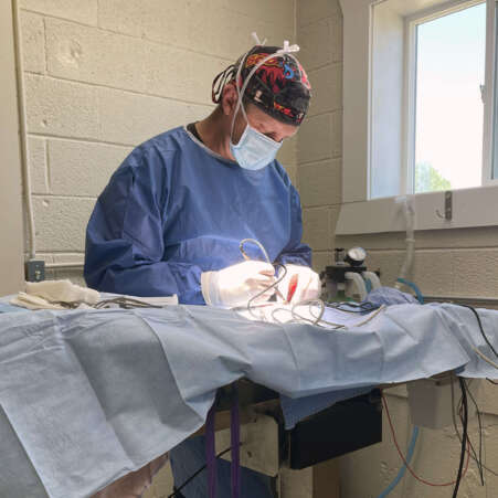 BenSurgery BenSurgery